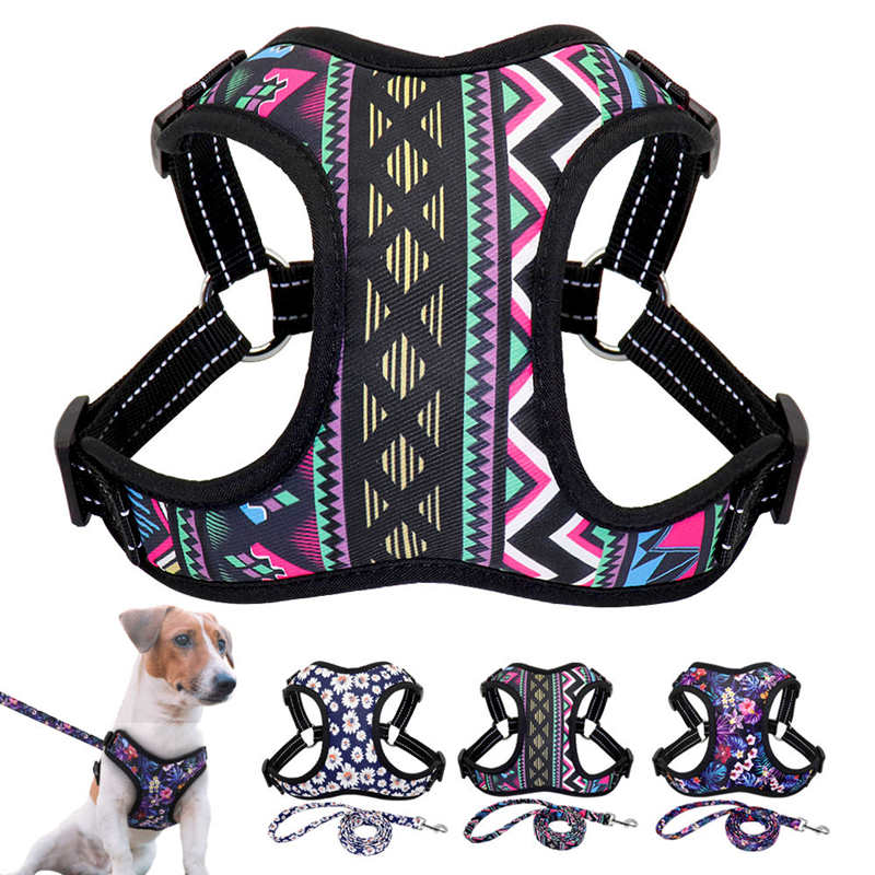 Small Dog Harness and Leash Set - Hiphoppet